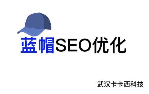 武汉网站优化公司告诉你什么是蓝帽seo优化及它作用有哪些